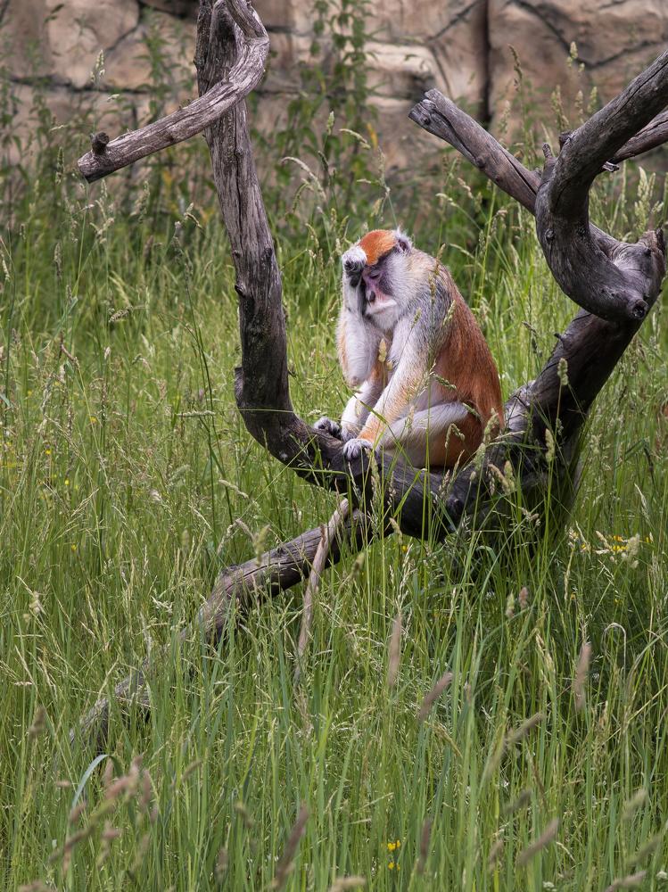 Photograph by Полина Хрол