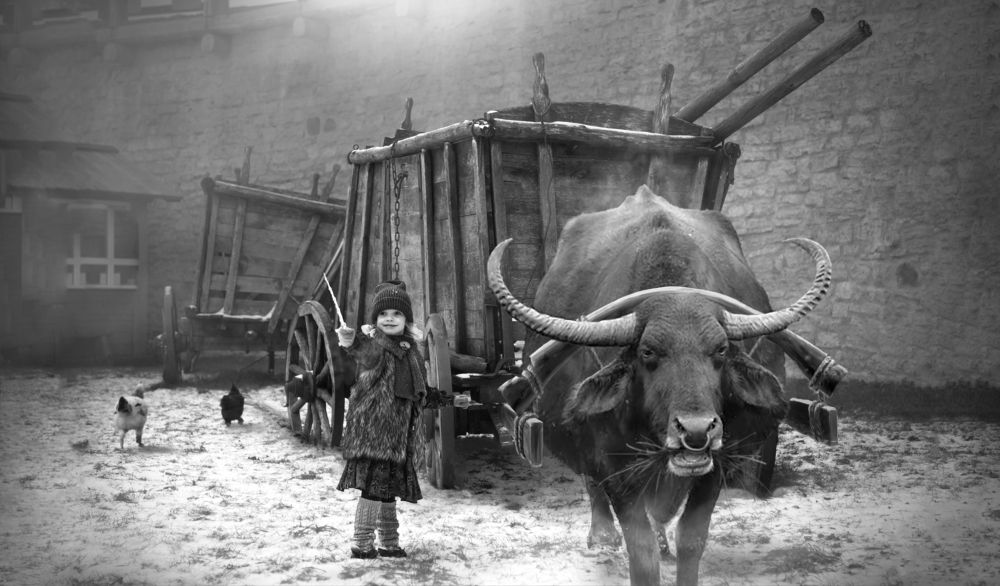 Photograph by Олег Голишников