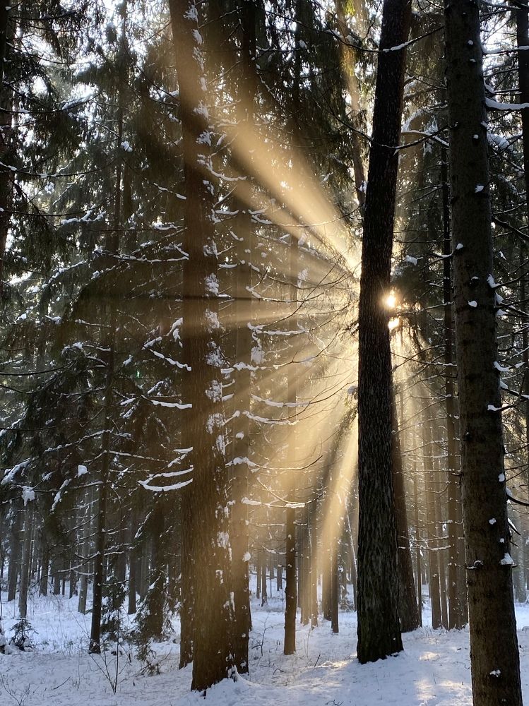 Photograph by Анатолий Андреев