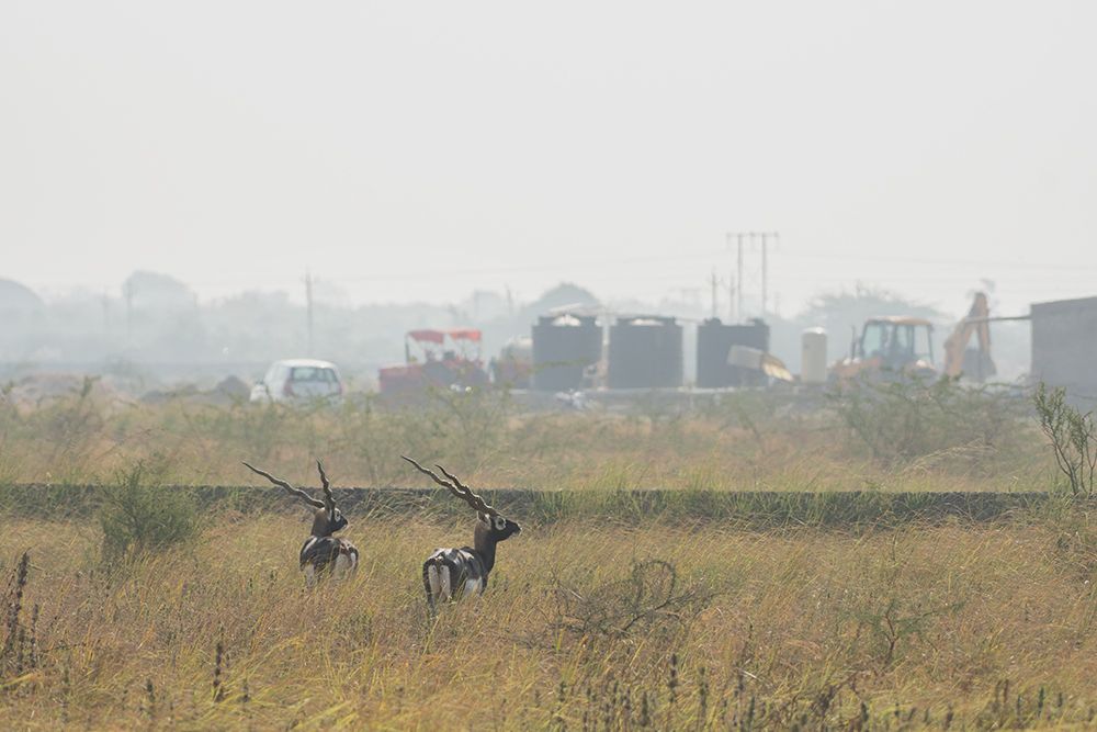 Photograph by Ashish Bhatt