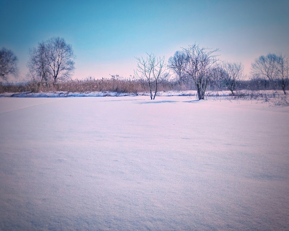 Фотография автора Сергей Побережниченко