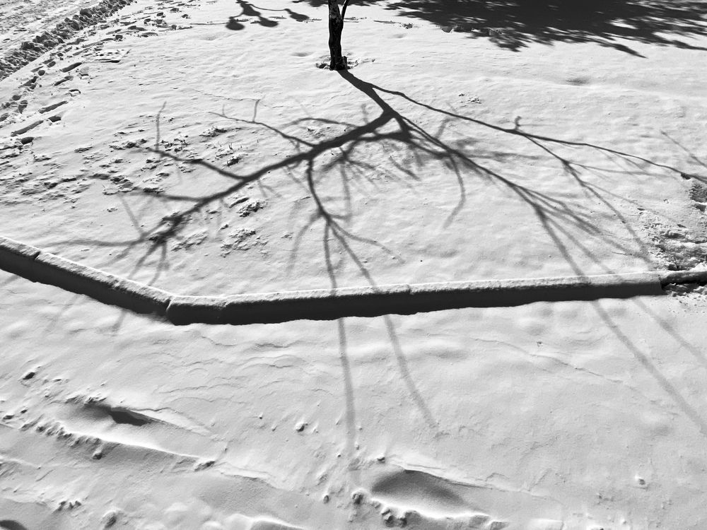 Photograph by Ольга Петухова