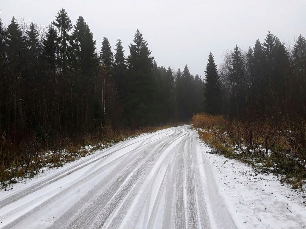 Photograph by Виктория Шлёпина