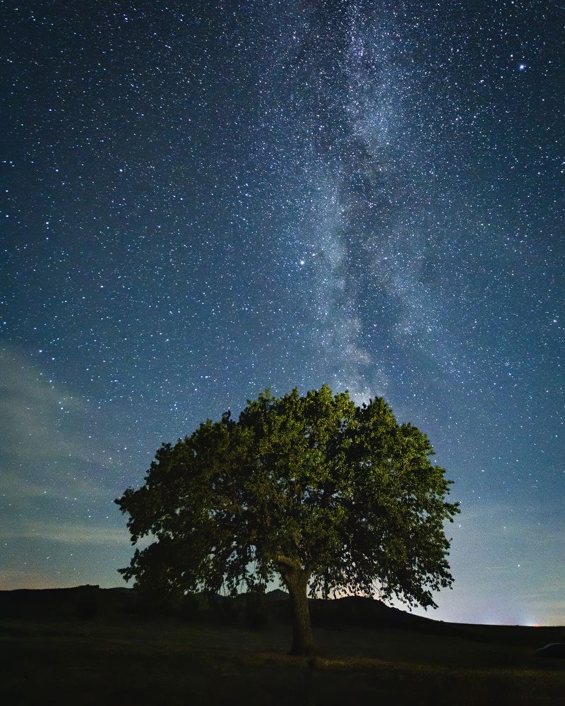 Фотография автора Bogdan Barbulescu