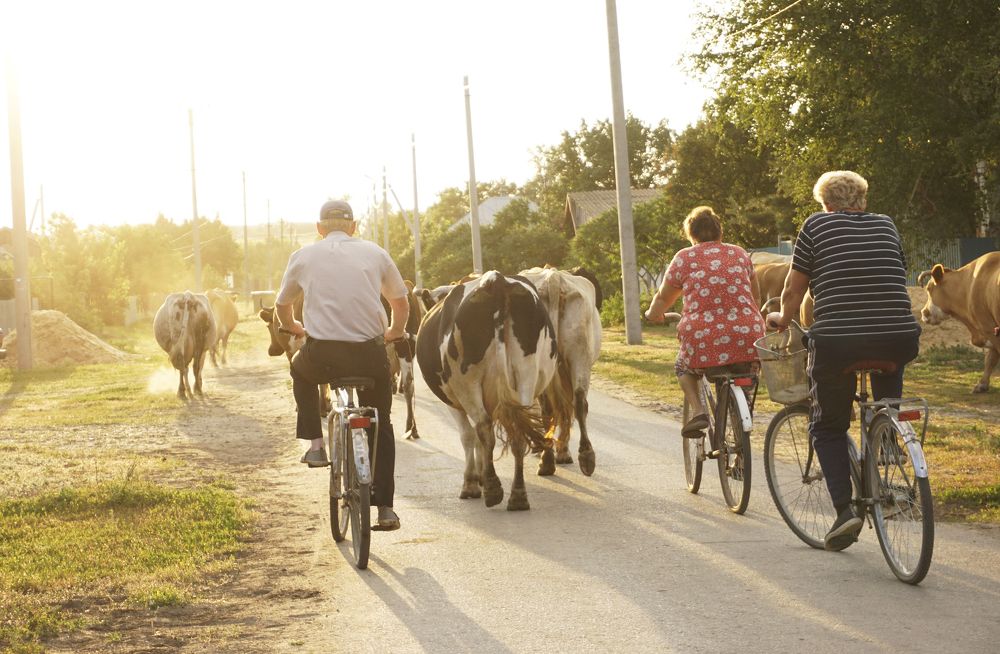 Photograph by Аня Ткачева