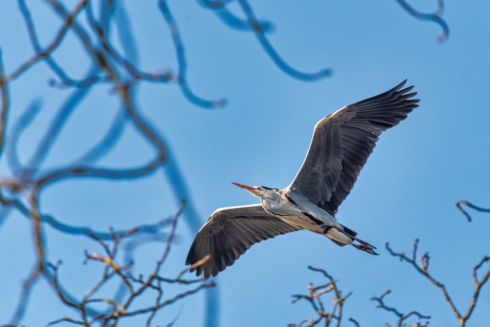 Photograph by Сергей Нагель-Синегубов