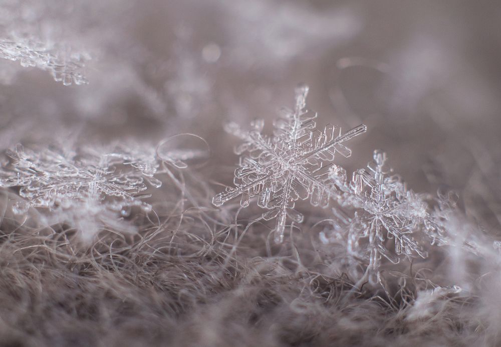 Photograph by Марина Хаева