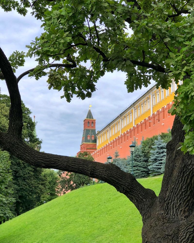 Photograph by Диана Гювенч