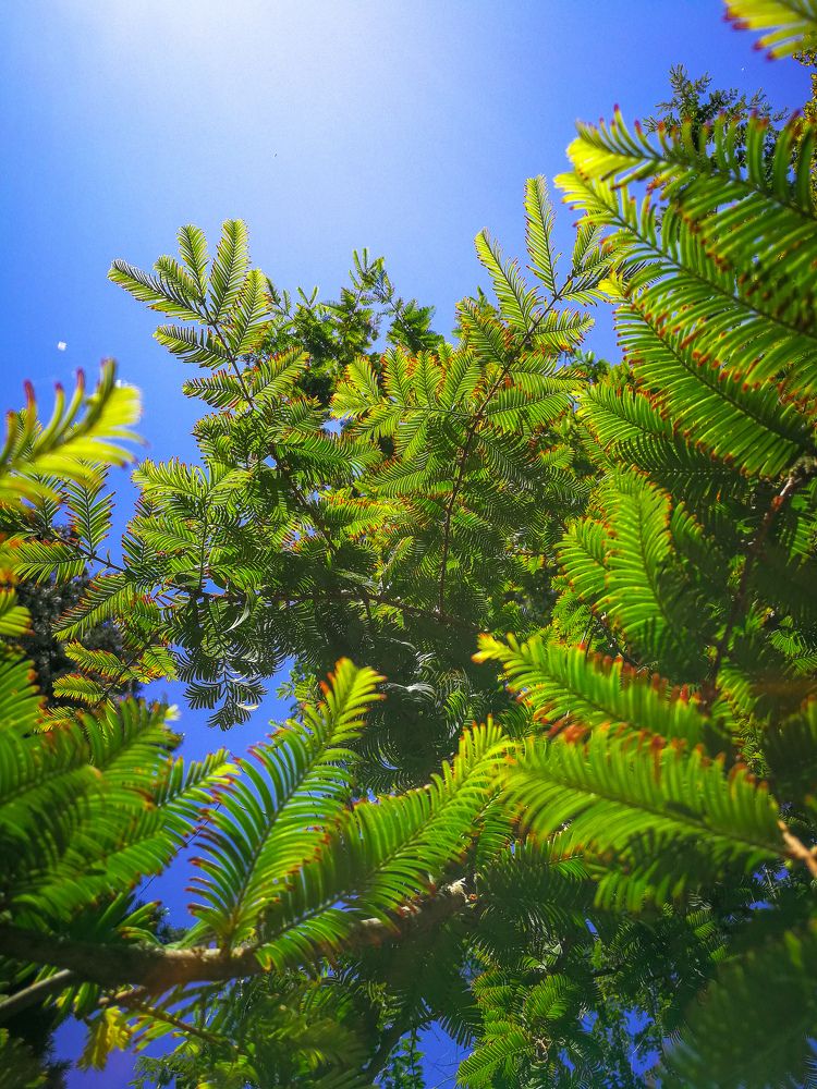 Фотография автора Юлия Вычужанина