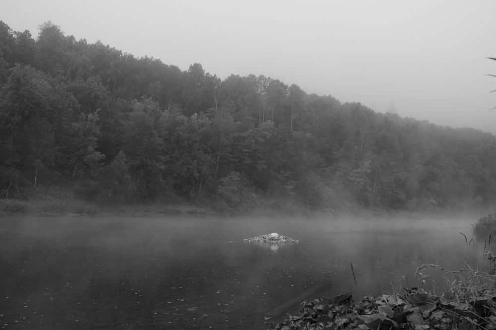 Безмолвная тишина.