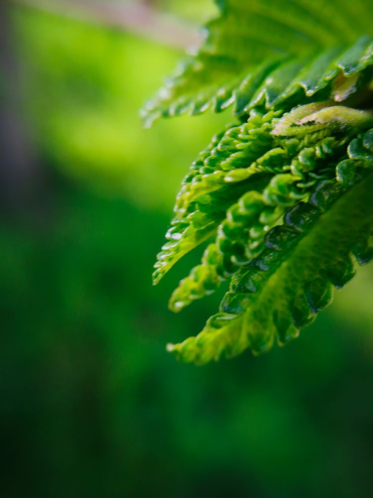 Фотография автора Юлия Вычужанина