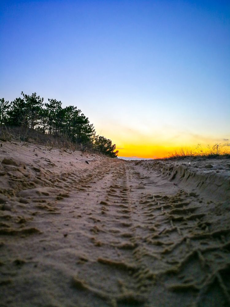 Фотография автора Юлия Вычужанина