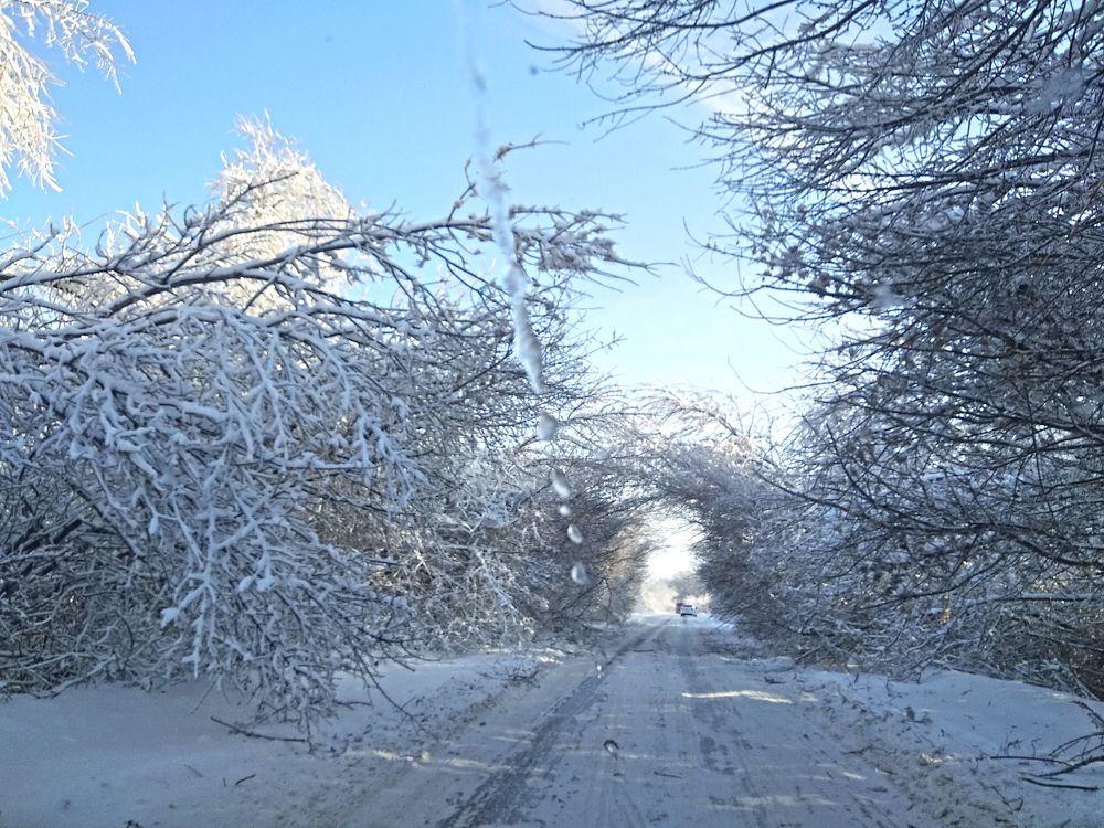 Photograph by Iren Gavrikova