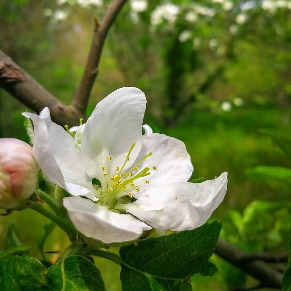 Фотография автора Юлия Вычужанина