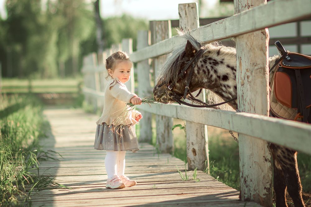 Фотография автора Наталия Назарова