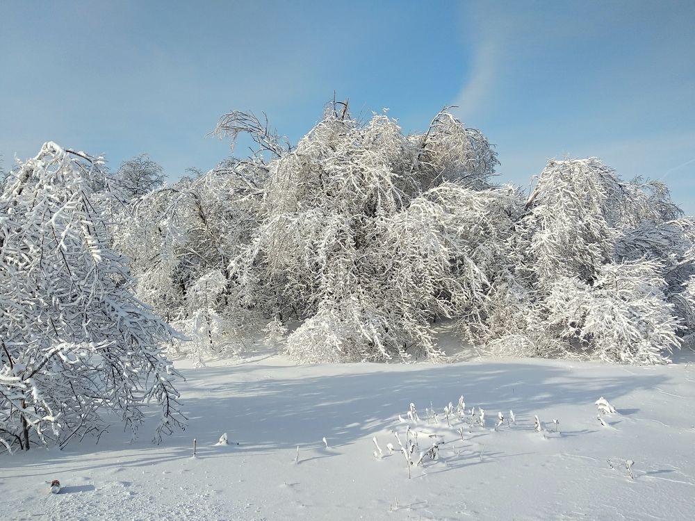 Photograph by Iren Gavrikova