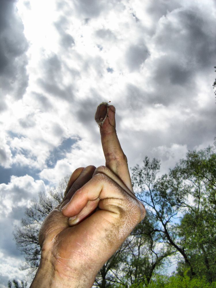 Photograph by Игорь Лотыш