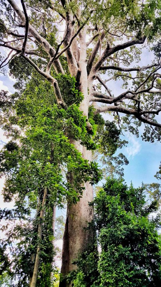 Photograph by Анна Вокуева