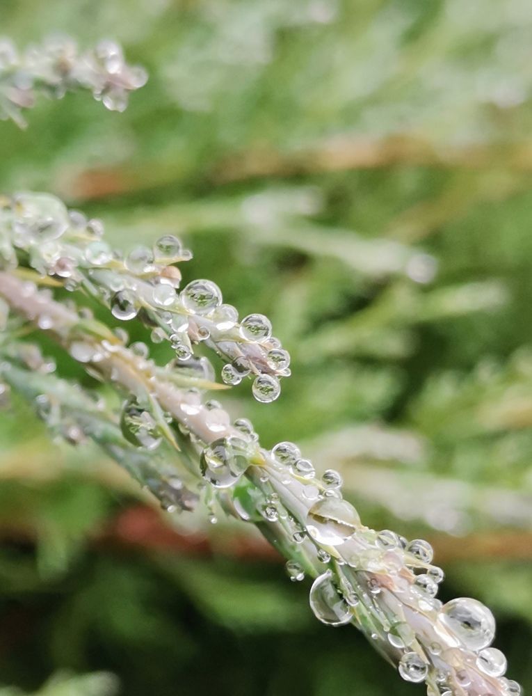 Photograph by Екатерина Исаева