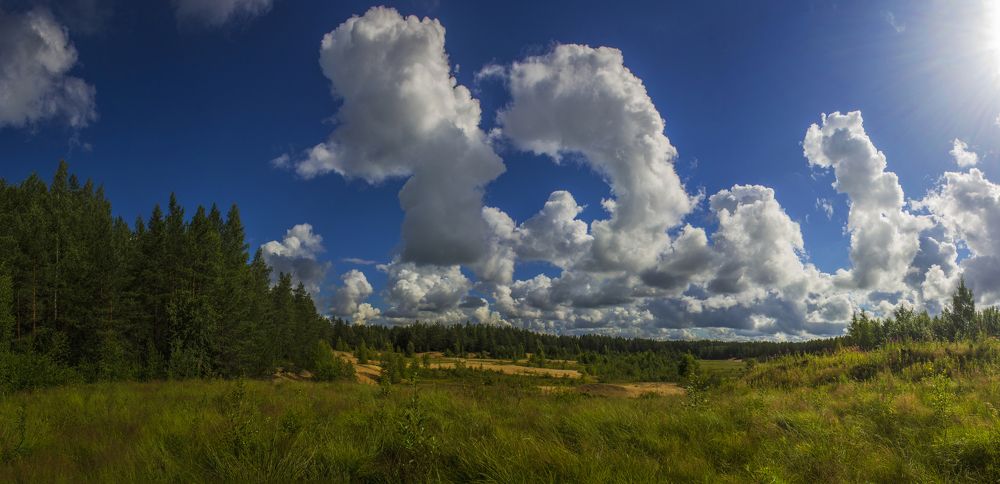 Photograph by Вячеслав Булатов