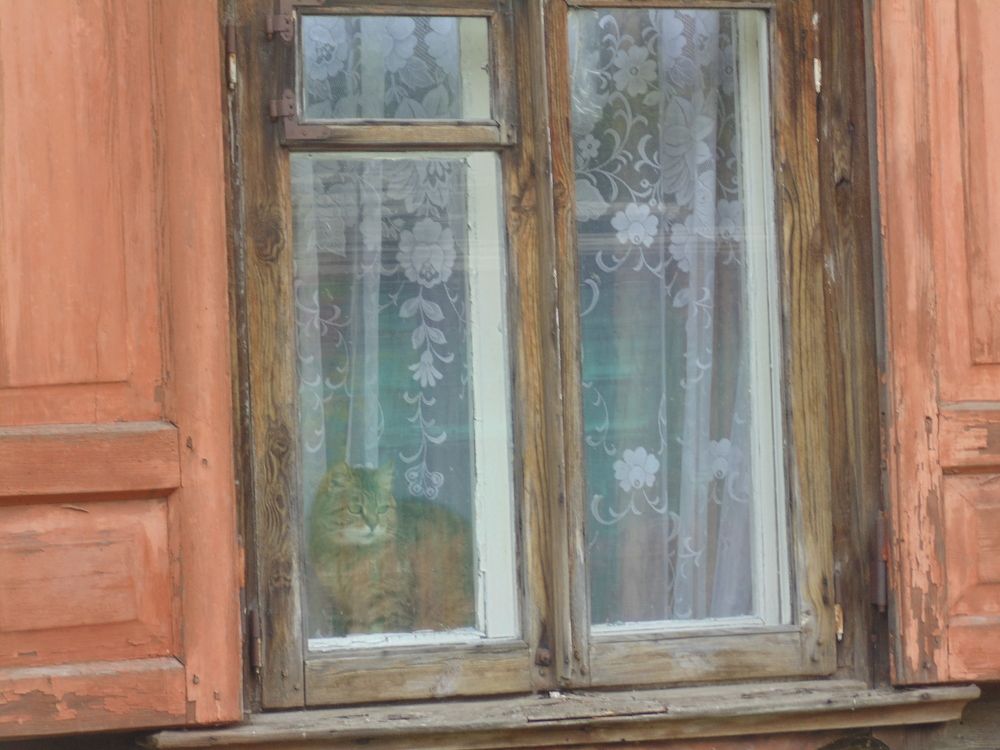 Photo #5838357