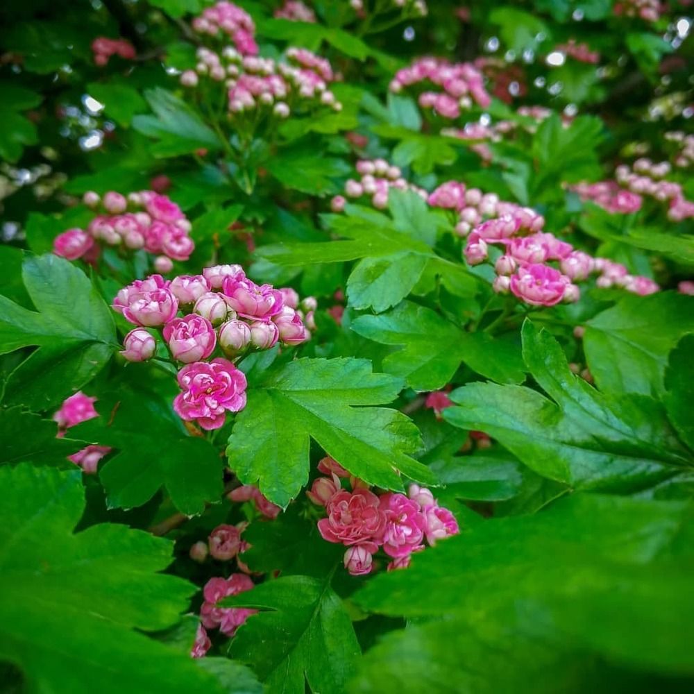 Фотография автора Юлия Вычужанина