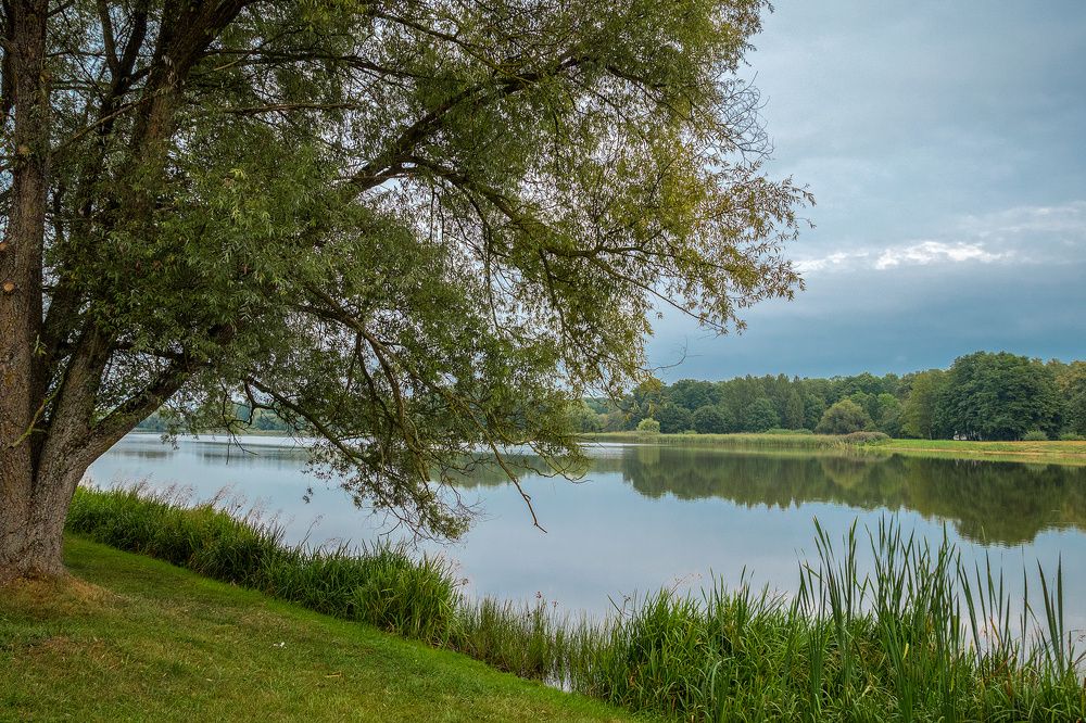 Photograph by Александр Войтко