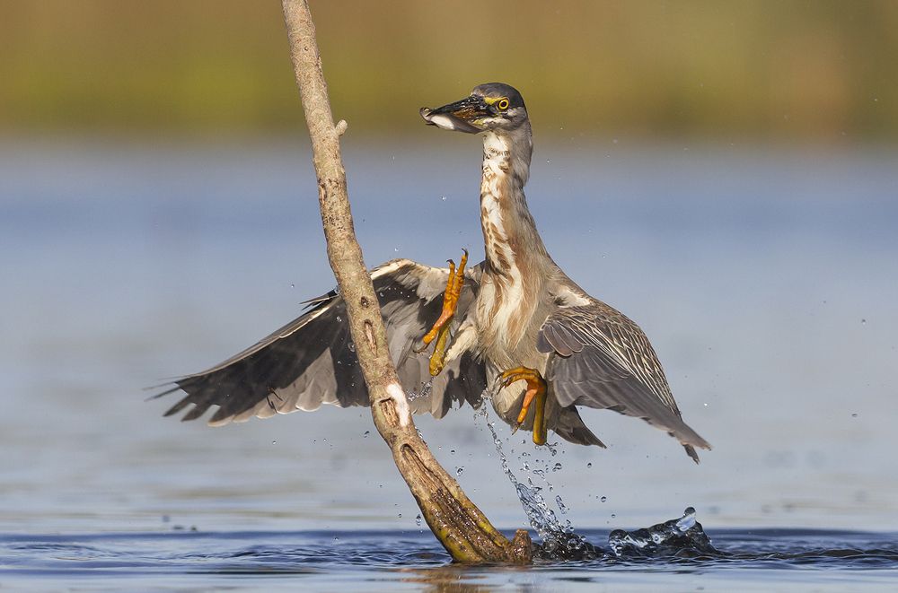 Photograph by Horacio Artero