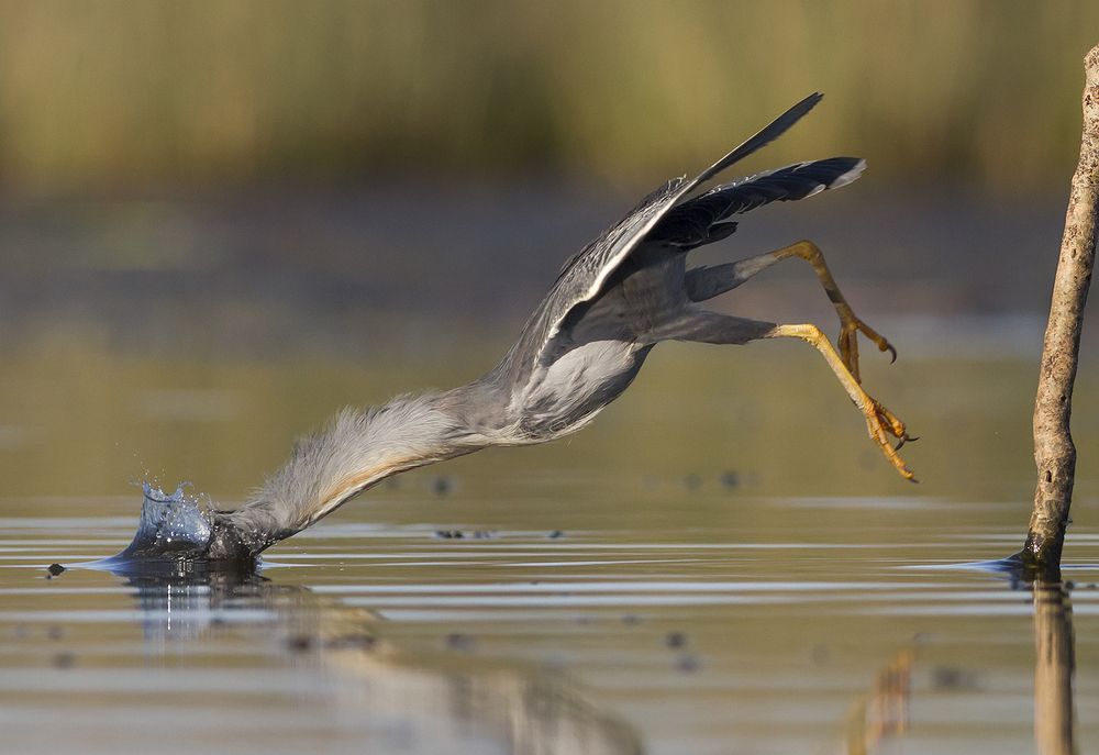 Photograph by Horacio Artero