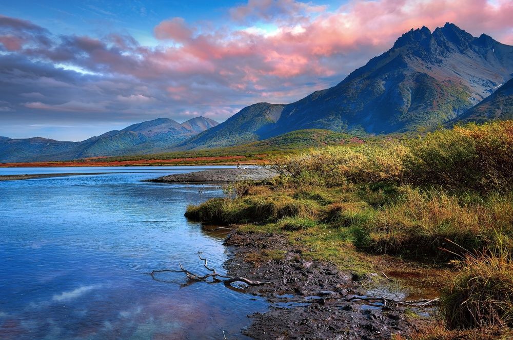 Медвежья тропа