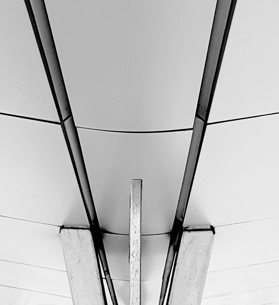 Photograph by Daiana Lúcia da silva