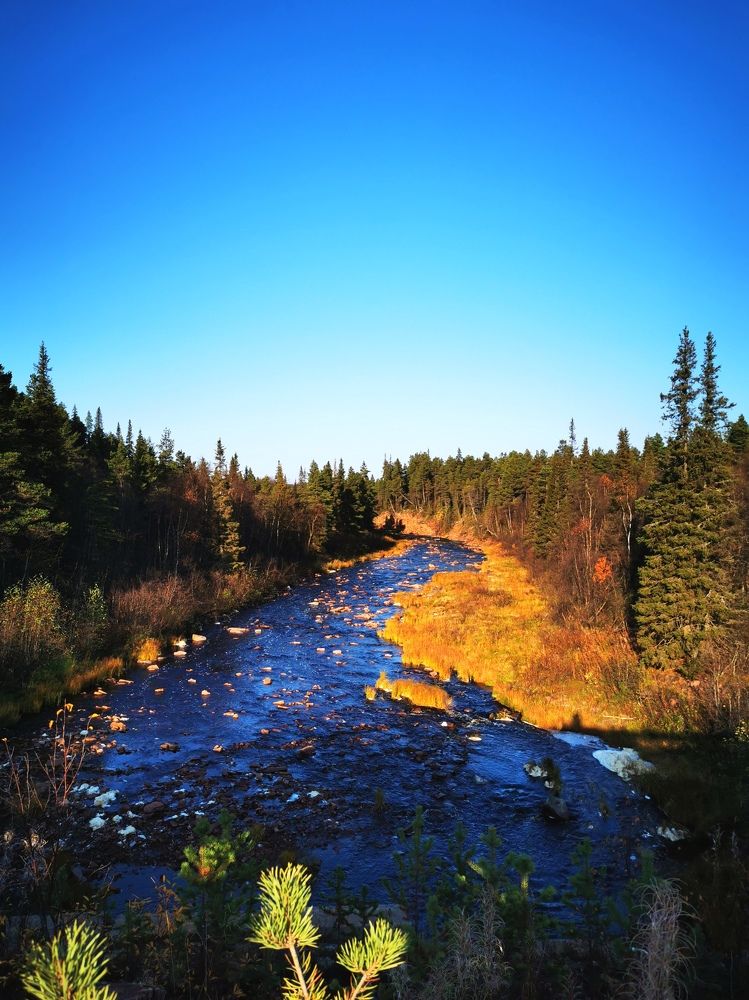 Синяя нитка