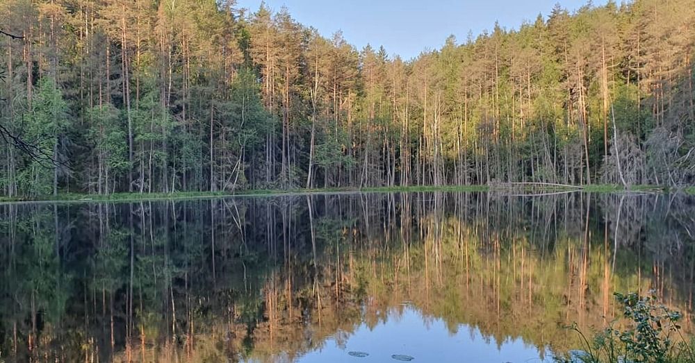 Photograph by Инна Гринцевич