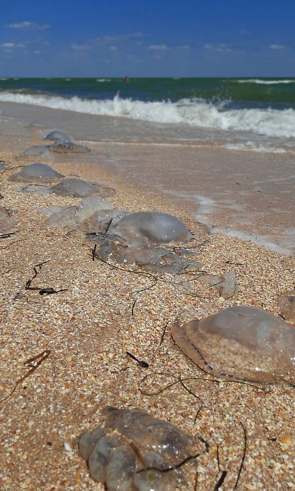 Photograph by Ирина Никитина