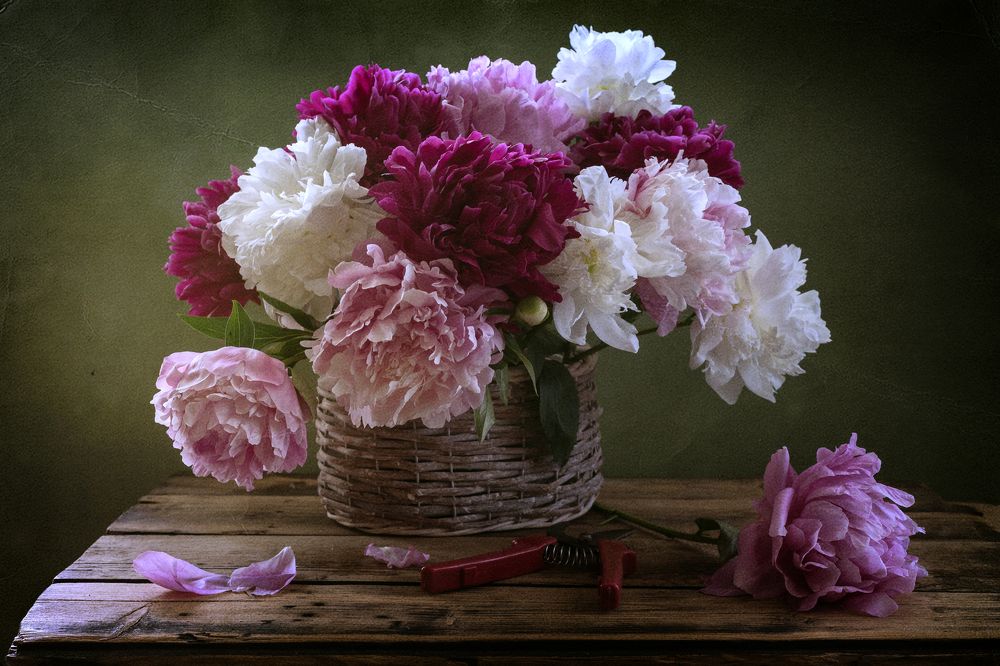 Photograph by Елизавета Шавардина