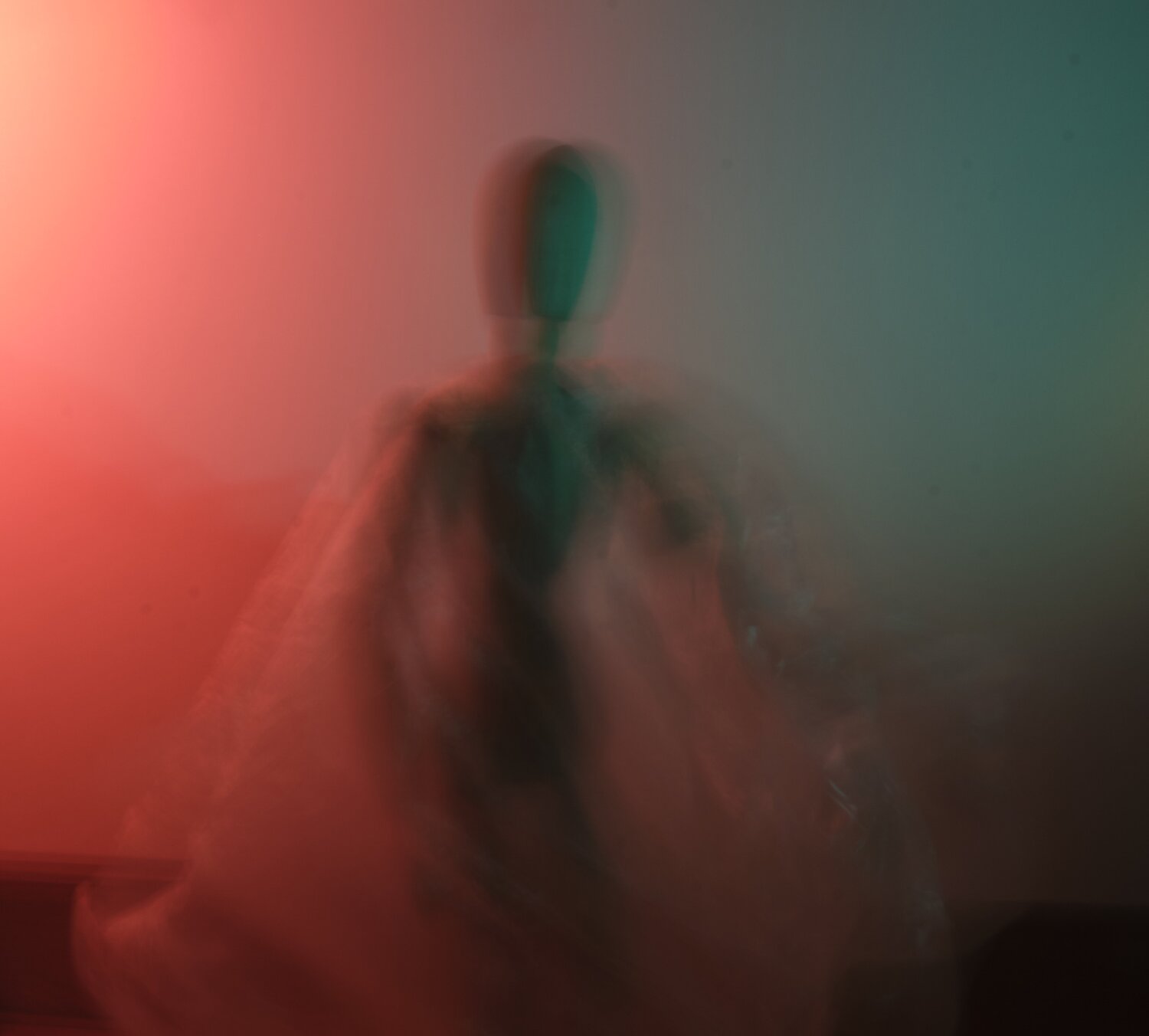 Photo #5838668