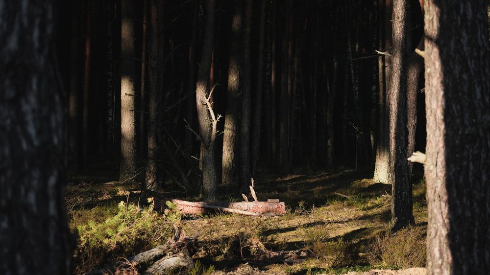 Photograph by Антон Соколов