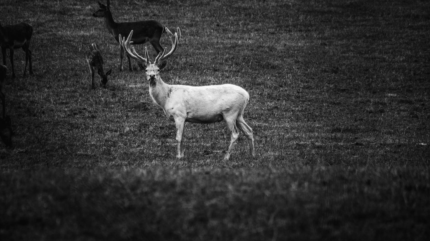 Photo #5838719