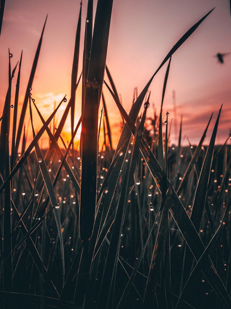 Photograph by Павло Семенюк