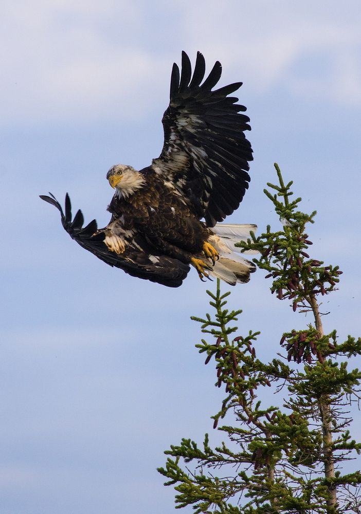 Photograph by Niroshan Mirando