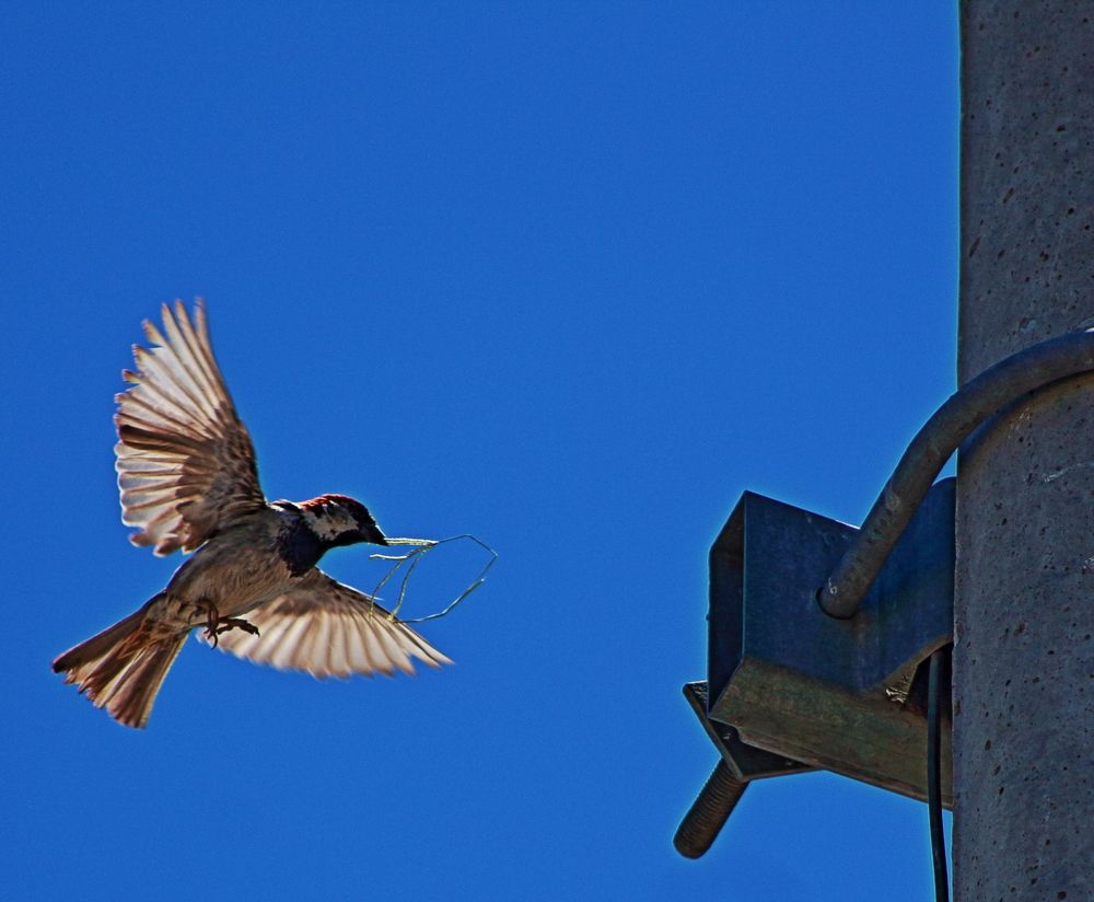 Photograph by Pérez valdez Joel
