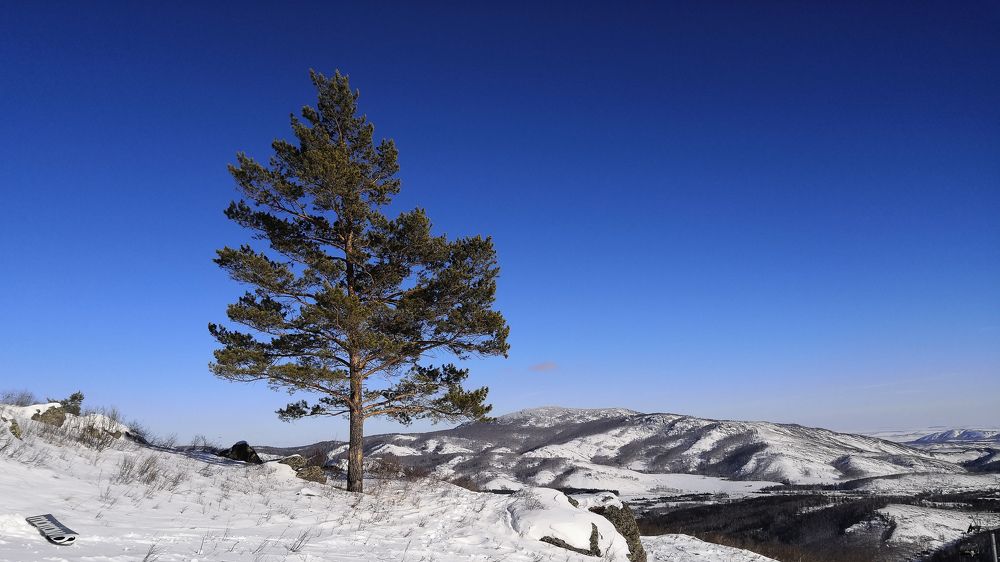 Photograph by Сергей Носач