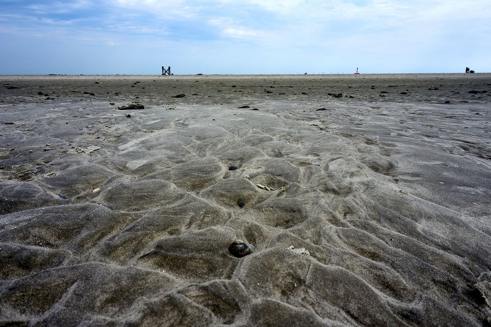 Photograph by Natalie Liedtke