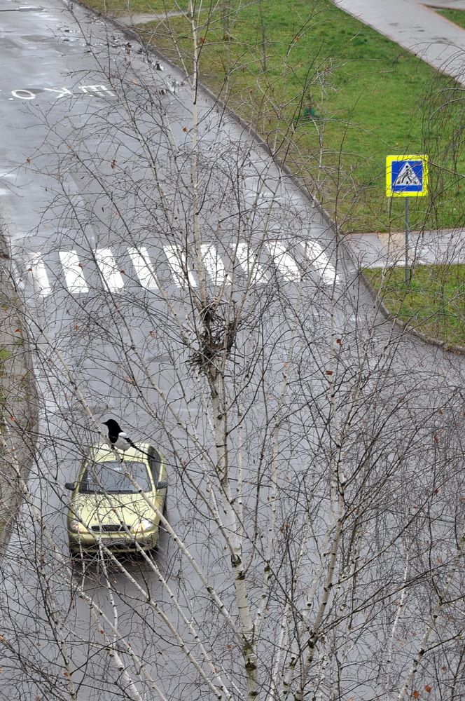 Photograph by Светлана