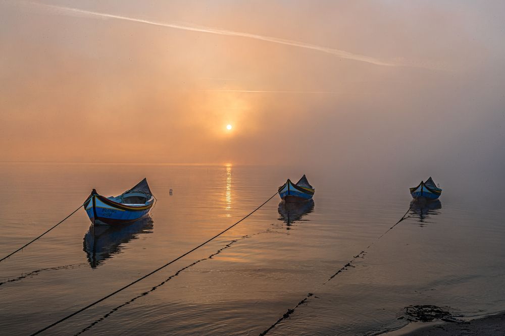 Photograph by Jorge Santo