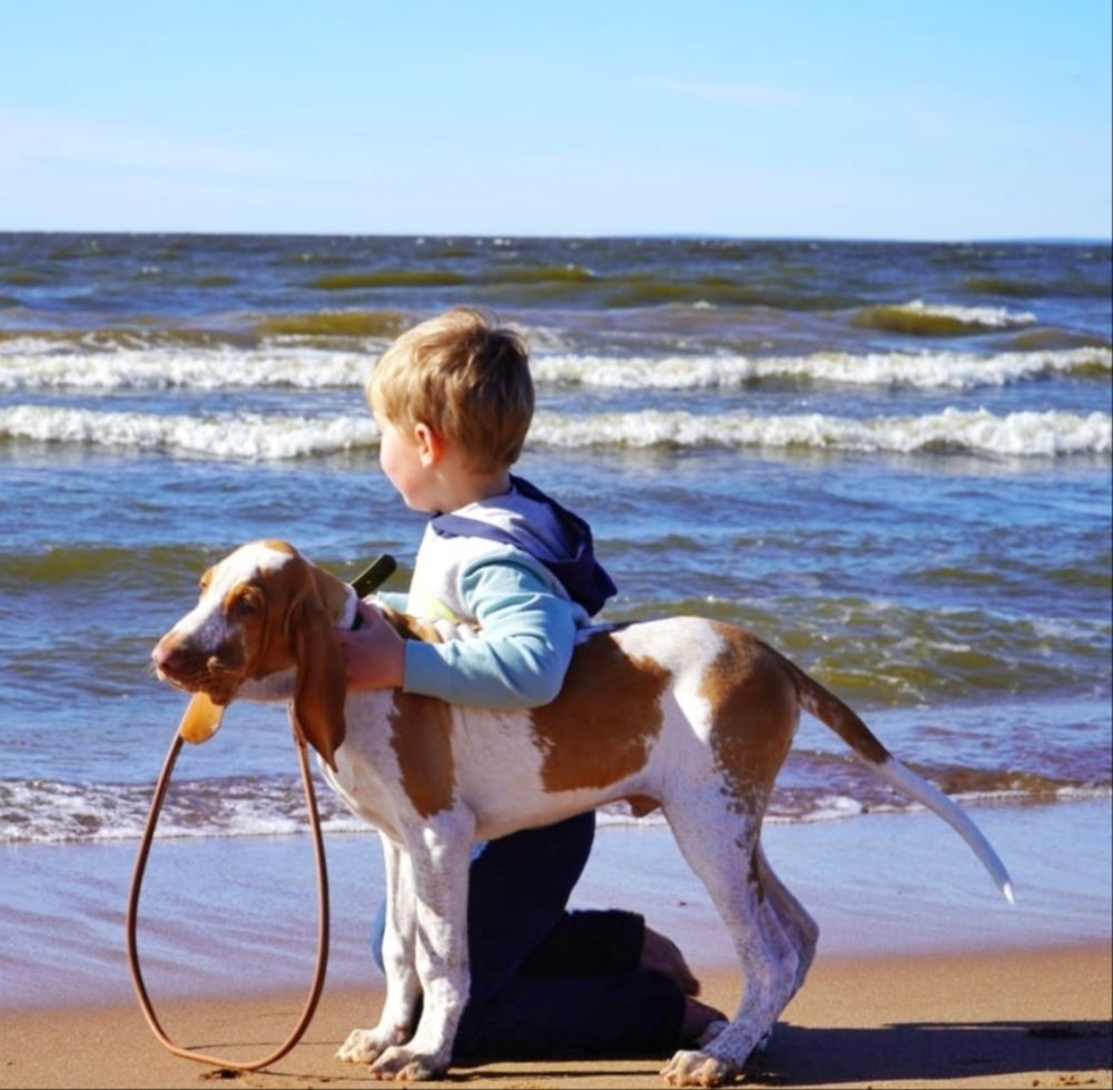 Photograph by Марина Безенкина