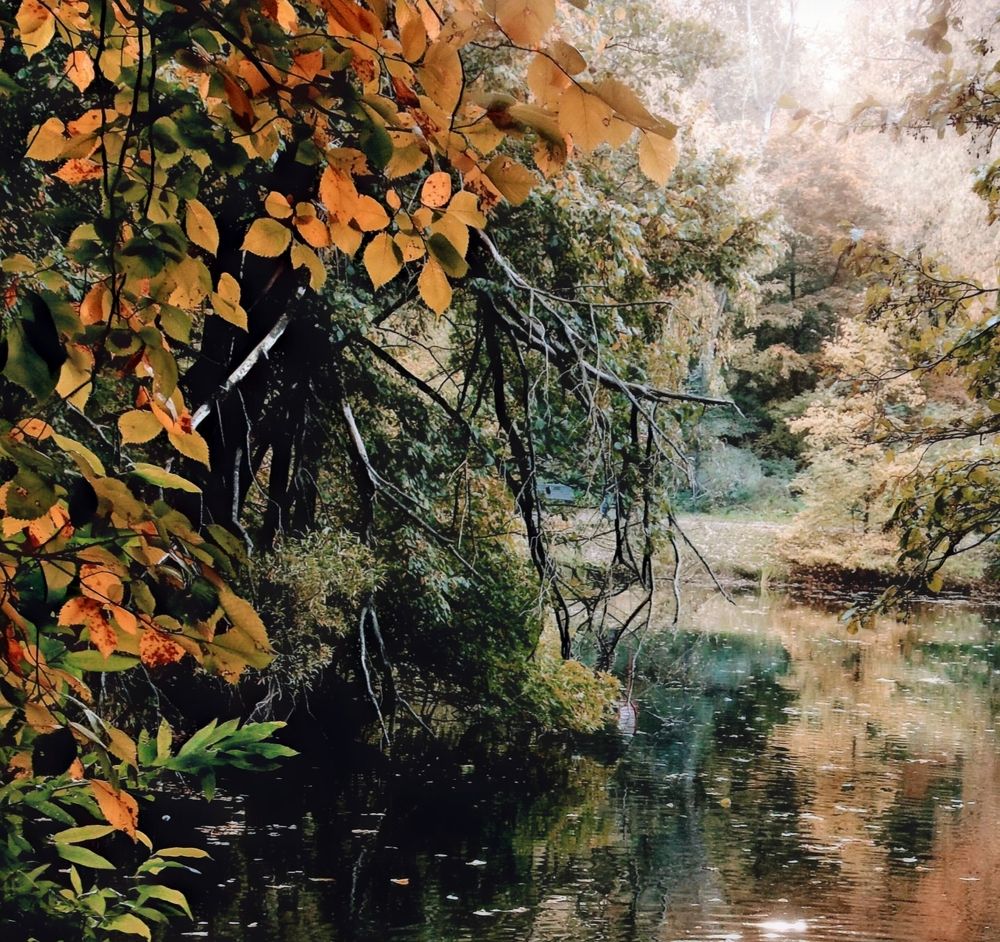 Photograph by Ольга Хромова