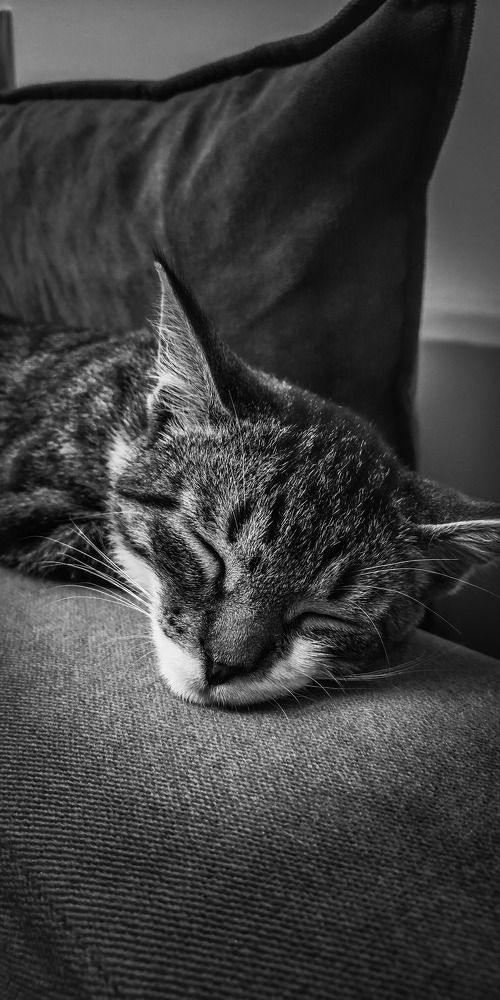 Photo #5838940