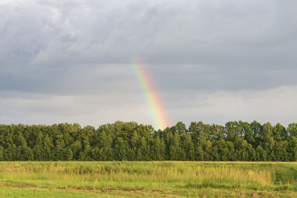 Photograph by Лариса Толкачёва
