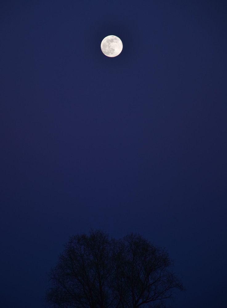 Photograph by Виктория Смаль